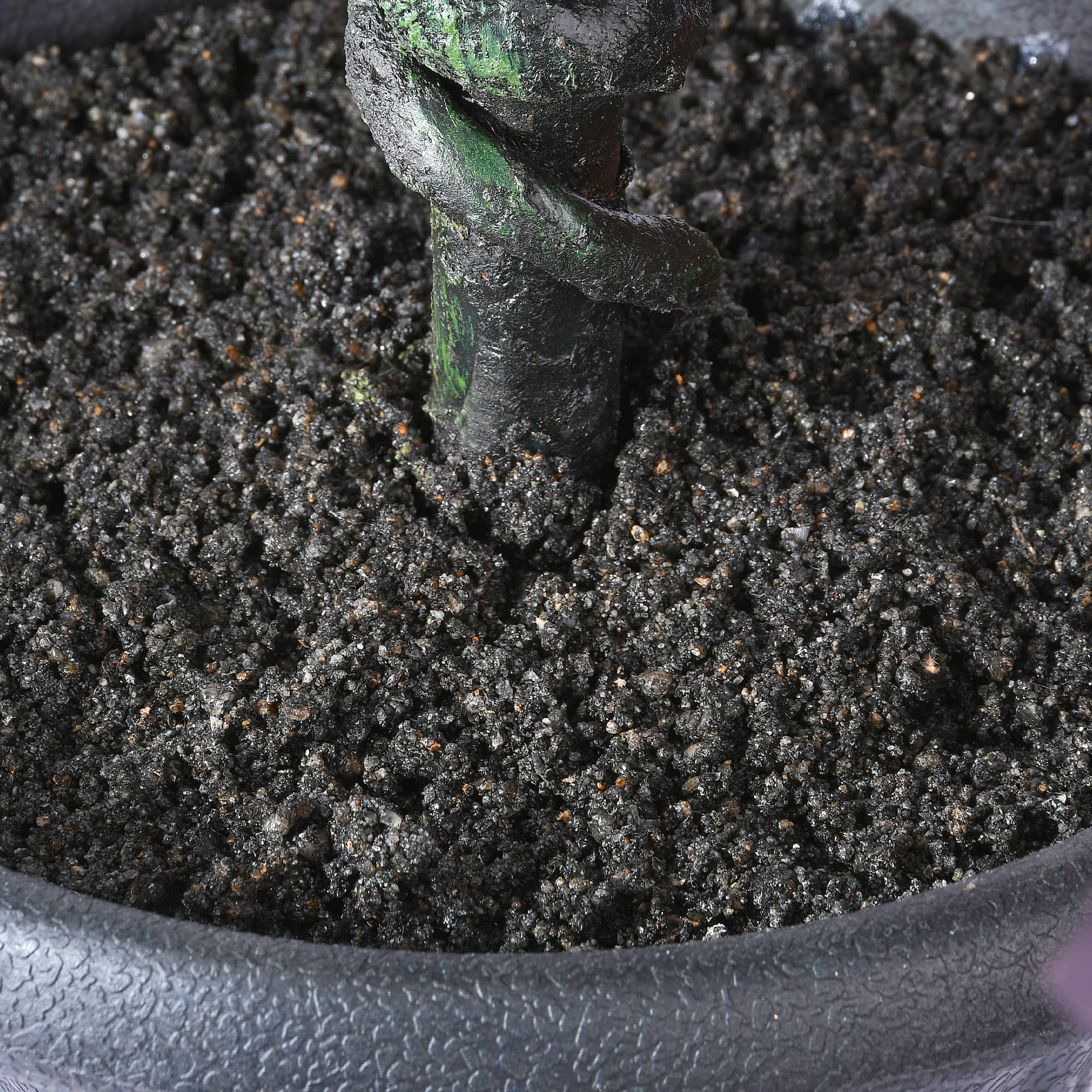 48" Potted Halloween Black Oak Tree